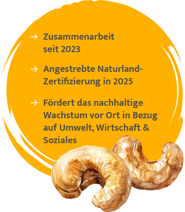 Gelber Kreis, unten zwei Cashewnüsse. Folgenden Inschrift: Zusammenarbeit seit 2023, Angestrebte Naturlandzertifizierung in 2025, Fördert das nachhaltige Wachstum vor Ort in Bezug auf Umwelt, Wirtschaft & Soziales