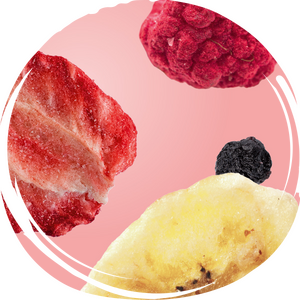 FREEZE-DRIED FRUITS