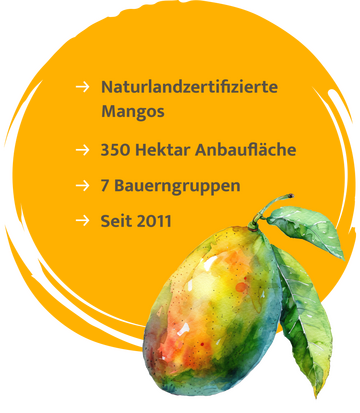 Gelber Kreis, unten eine Mango. Folgenden Inschrift: Naturlandzertifizierte Mangos, 350 Hektar Anbaufläche, 7 Bauerngruppen, Seit 2011