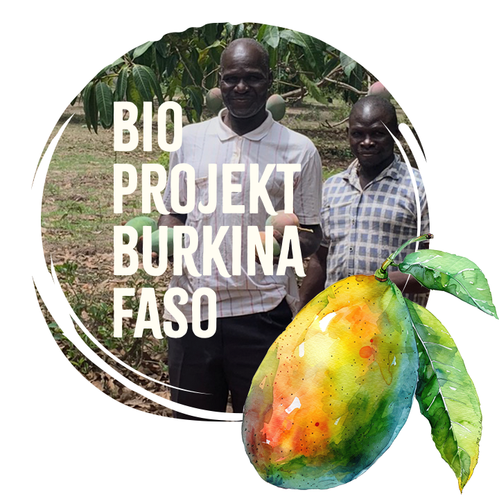 Bio Anbauprojekt Burkina Faso