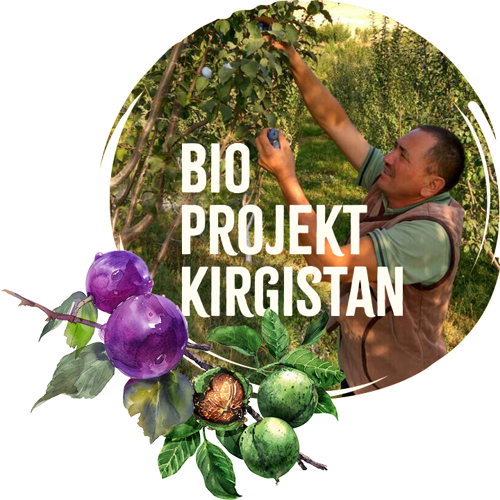 Bio Anbauprojekt Kirgistan