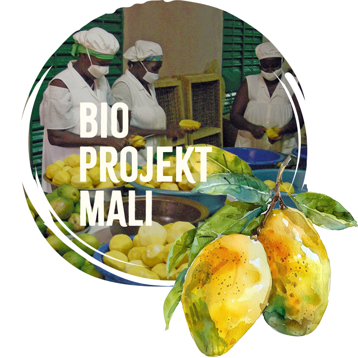 BIO Projekt Mali